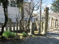 国府山城址の写真・動画_image_297826