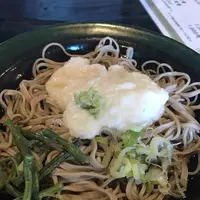 つくしの写真・動画_image_298046