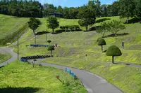 東藻琴芝桜公園の写真・動画_image_298467