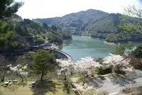 上椎葉ダムの写真・動画_image_298800