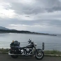 小樽駅の写真・動画_image_298957