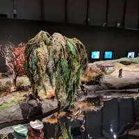 ヘルシンキ市立美術館の写真・動画_image_299152