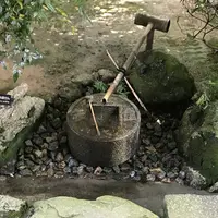 龍安寺の写真・動画_image_299369