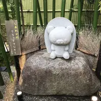嵐山 りらっくま茶房の写真・動画_image_299381