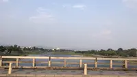 渡月橋の写真・動画_image_299395