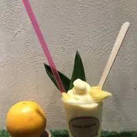 DRINK DRANKの写真・動画_image_299591