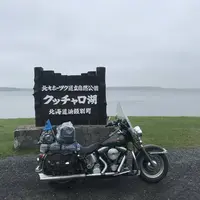 ノシャップ岬の写真・動画_image_299696