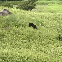 サロマ湖の写真・動画_image_299725