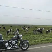 野付半島の写真・動画_image_299801