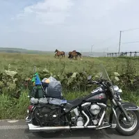 野付半島の写真・動画_image_299805