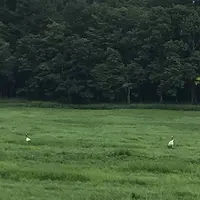 野付半島の写真・動画_image_299812