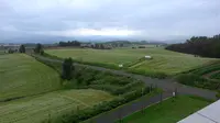 パッチワークの路の写真・動画_image_299925