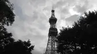 大通公園の写真・動画_image_299945
