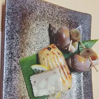 つる旬彩手包丁の写真・動画_image_299992