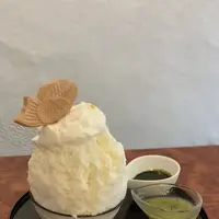 こひる庵の写真・動画_image_300412