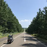 多和平の写真・動画_image_300426