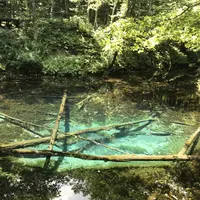 多和平の写真・動画_image_300433