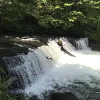 多和平の写真・動画_image_300434