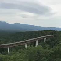 タウシュベツ橋梁展望台の写真・動画_image_300804