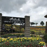 タウシュベツ橋梁展望台の写真・動画_image_300822