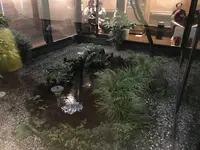 相模・下九沢温泉 湯楽の里の写真・動画_image_301020