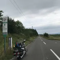 ファーム富田の写真・動画_image_301075