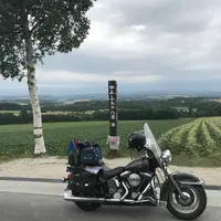 ファーム富田の写真・動画_image_301076