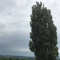 ファーム富田の写真・動画_image_301081