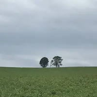 ファーム富田の写真・動画_image_301144