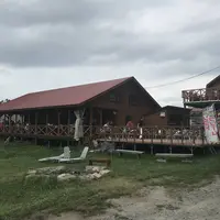 ファーム富田の写真・動画_image_301146