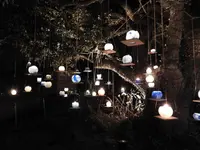 江の島シーキャンドルの写真・動画_image_301157