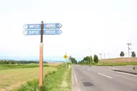 ケンとメリーの木の写真・動画_image_301471