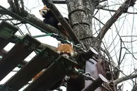 旭川市 旭山動物園の写真・動画_image_301473