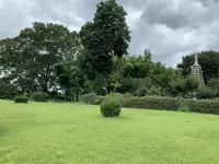 下野薬師寺跡の写真・動画_image_301594