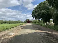 下野薬師寺跡の写真・動画_image_301596