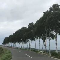 ファーム富田の写真・動画_image_301602