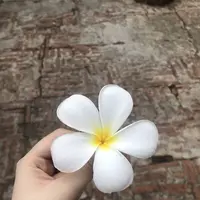 Pra Nakorn Si Ayutthaya（アユタヤ遺跡）の写真・動画_image_301785