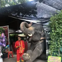 アユタヤ・エレファント・キャンプの写真・動画_image_301786