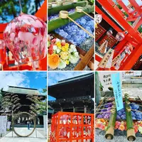 新潟総鎮守 白山神社の写真・動画_image_301907