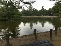 鏡池の写真・動画_image_302050