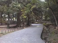 鏡池の写真・動画_image_302053