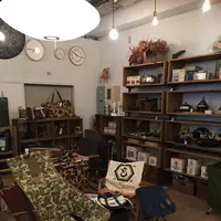 plywoodの写真・動画_image_302422
