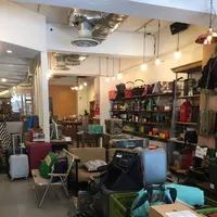 plywoodの写真・動画_image_302424