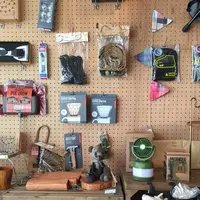 plywoodの写真・動画_image_302426