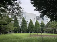 ape cucina naturale アーペ クッチーナ ナチュラーレの写真・動画_image_302493