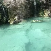 湯畑の写真・動画_image_302881