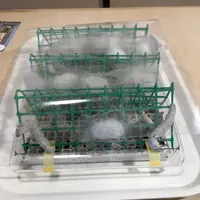 富岡製糸場の写真・動画_image_303093