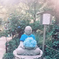 明月院（あじさい寺）の写真・動画_image_303279