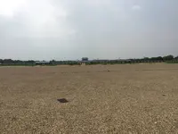 平城宮跡 第一次大極殿の写真・動画_image_303308