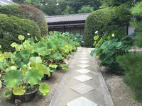 唐招提寺の写真・動画_image_303334
